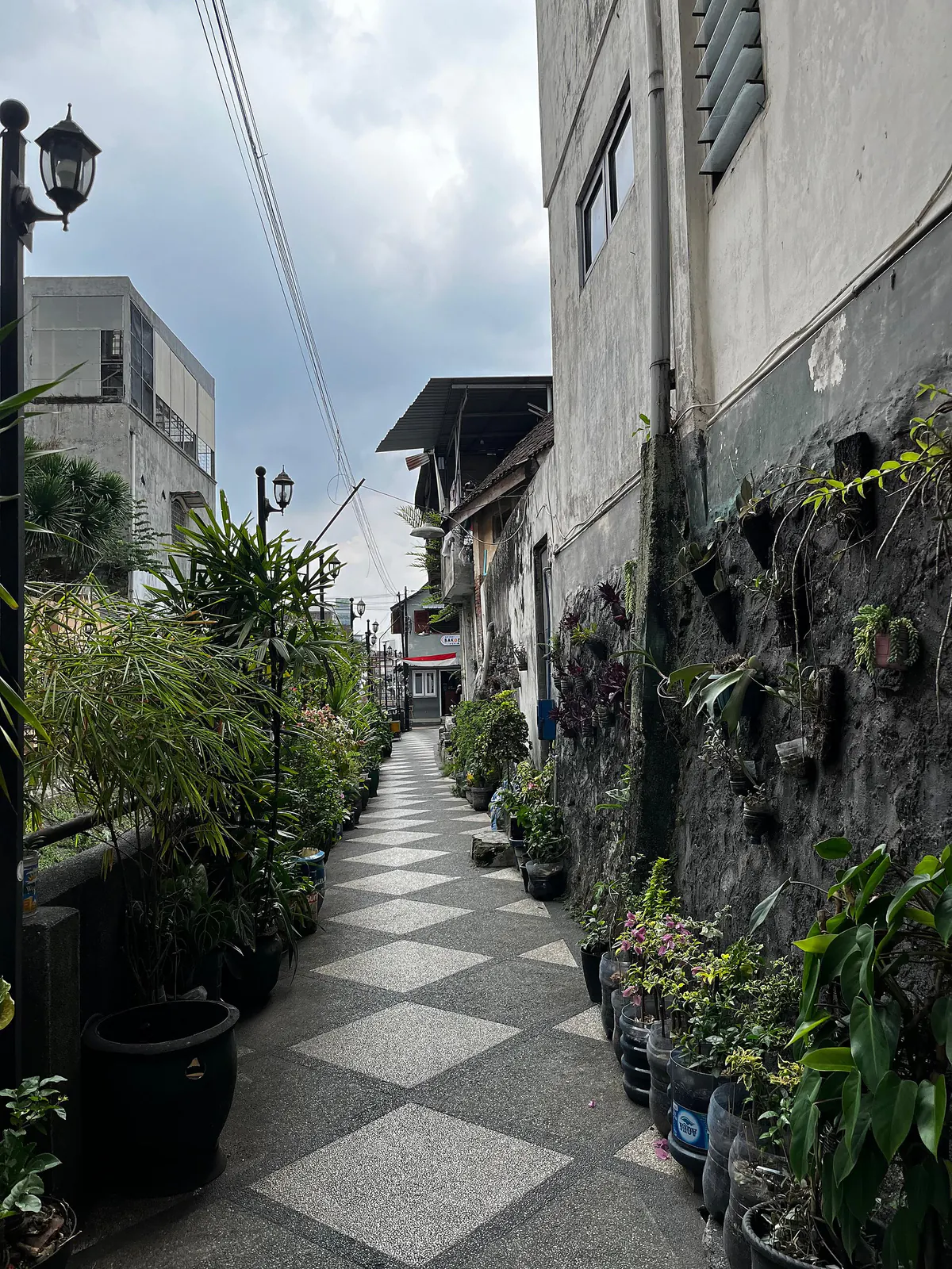 Lorong sempit Kampung Kayutangan dengan tanaman pot berjajar dan lantai tegel kotak-kotak